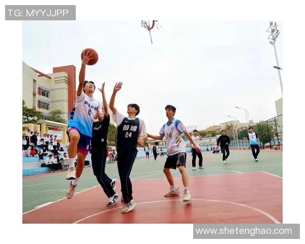 校园篮球场上的明星是谁引发了大家的热议与关注
